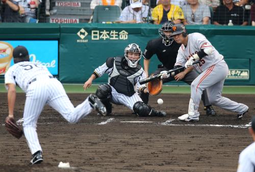 ＜神・巨＞６回無死一、二塁、村田は送りバントが三塁内野安打となる。投手・松田