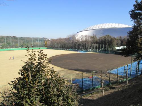 埼玉県所沢市の西武第２球場。奥には西武ドームが見える