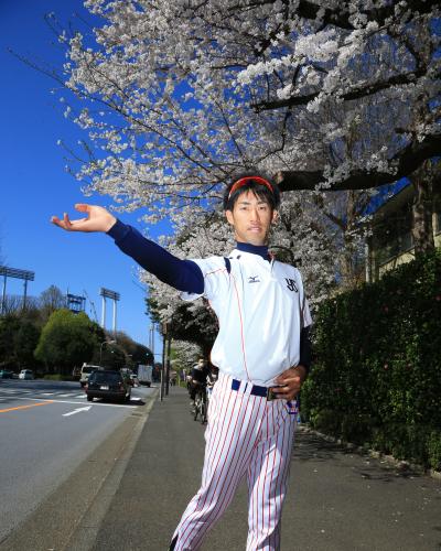 練習を終えた秋吉は満開の桜の下で代名詞の変則フォームを披露