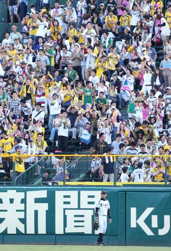 ＜神・広＞８回１死二塁、田中の右越え２ランで１７点目を失った阪神ファンは抗議の大喜びを見せる