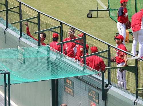 １３日の試合前、幻のホームランの“現場検証”をする広島投手陣