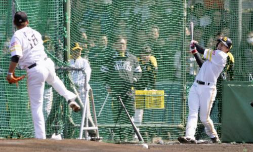 松坂（左）の投球で打撃練習するソフトバンク・柳田