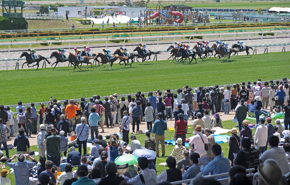 まっさらな芝生の上で開催されている函館競馬