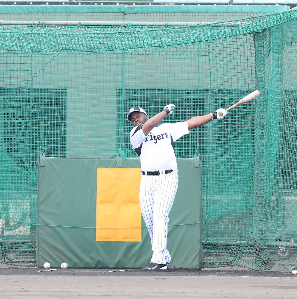 鳴尾浜球場でフリー打撃をする阪神の新外国人　ジェイソン・ロジャース