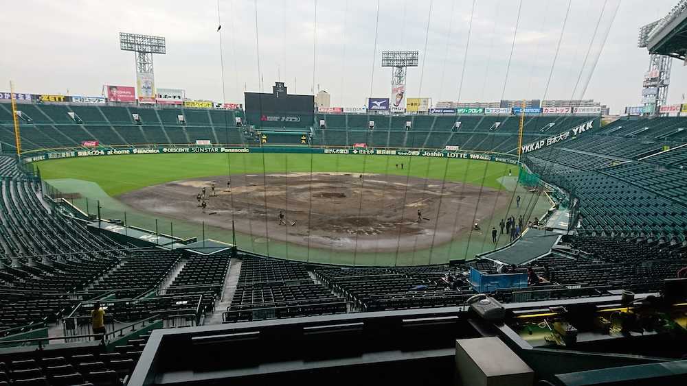 水たまりも残る甲子園球場のグラウンド。阪神園芸のグラウンドキーパーが作業をしている（１７日午後１時５９分撮影）