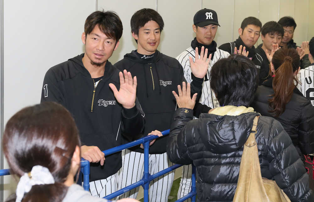 ハイタッチでファンを出迎える（左から）鳥谷、能見、西岡、岩田、高橋聡、榎田