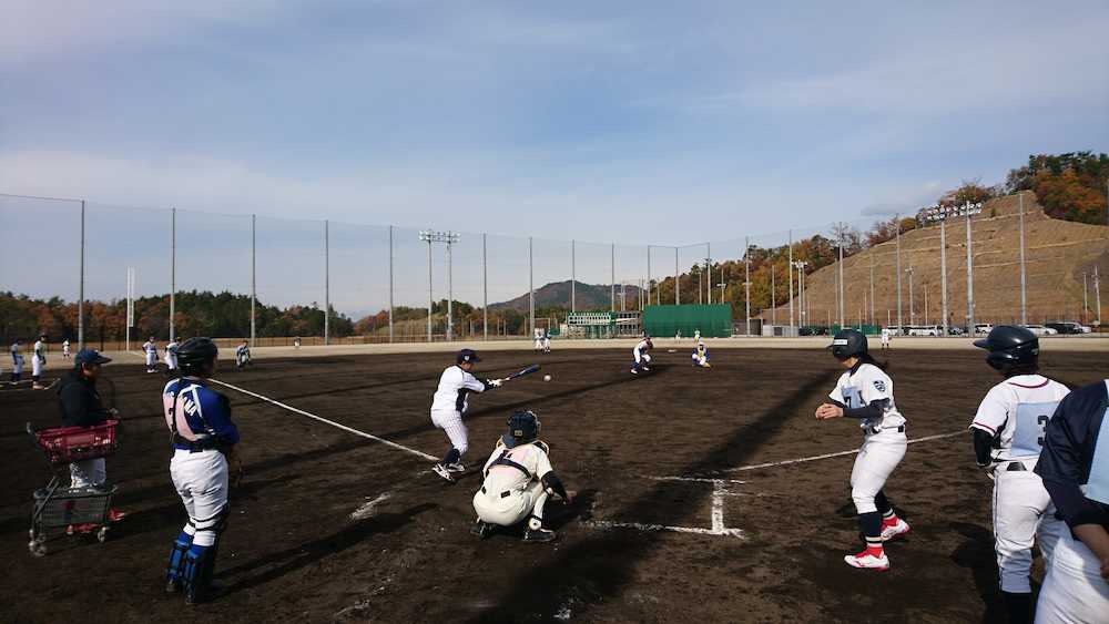 女子野球日本代表のトライアウトでは実戦形式のノックも行った（１１月２５日、履正社箕面グラウンド）