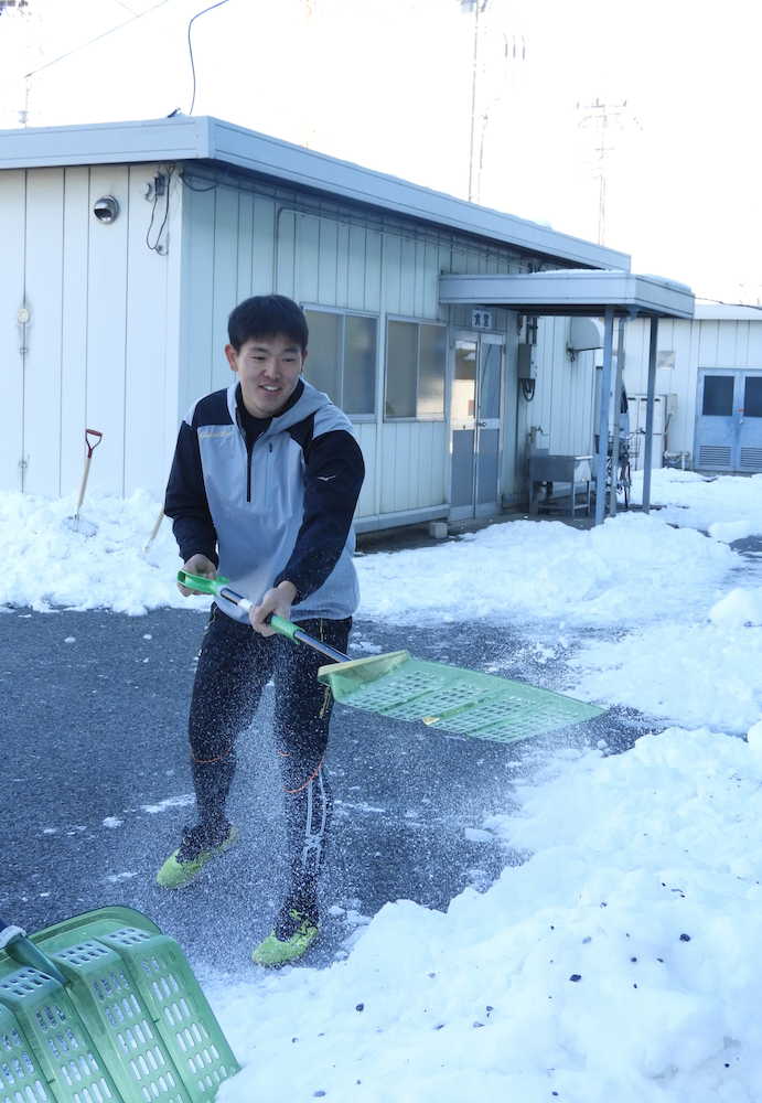 新人合同自主トレを打ち上げたロッテ・安田は雪かきを手伝う　　　　　　