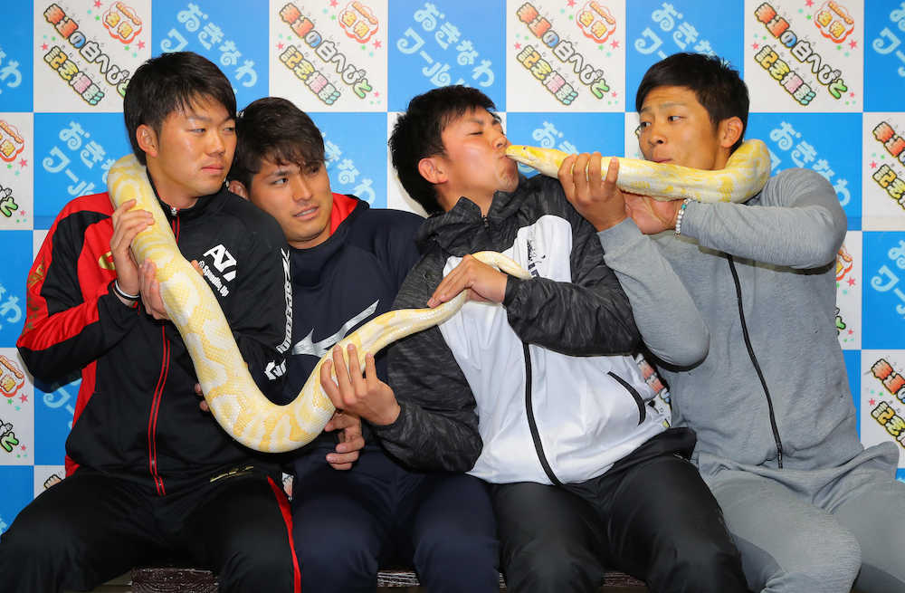 幸運のビルマニシキヘビとキスする東（左から３人目）とおっかなびっくりの（左から）楠本、神里、宮本