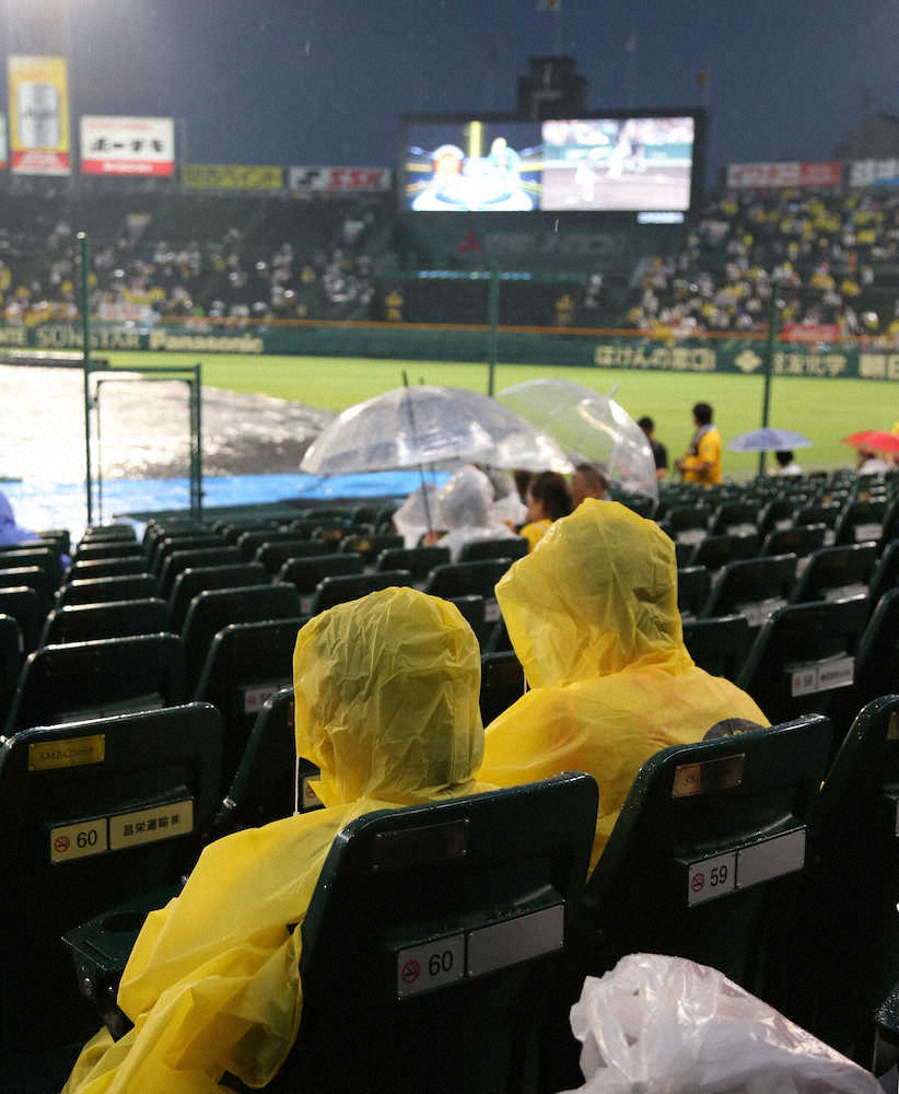 雨の中試合開始を待つ阪神ファン（撮影・後藤　正志）