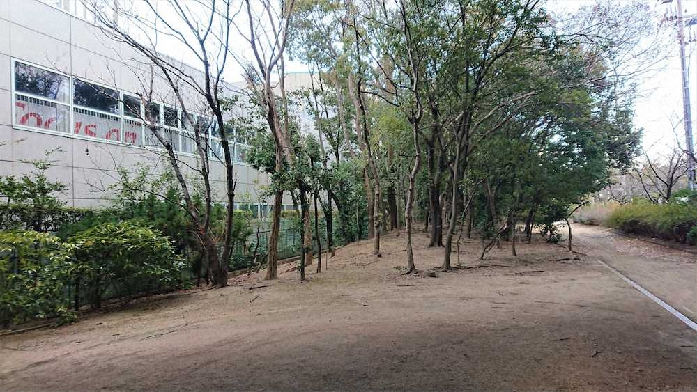鳴尾浜の遊歩道。左はタイガースデンの室内練習場