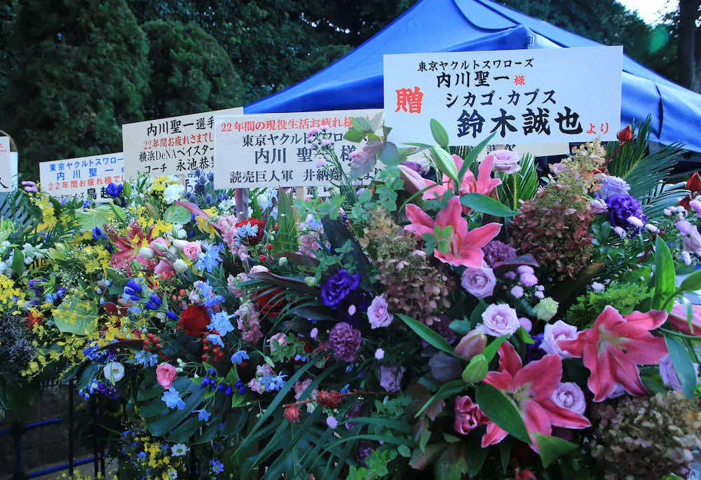 ＜ヤ・D＞内川、嶋、坂口にそれぞれたくさんの花が贈られる（撮影・篠原岳夫）