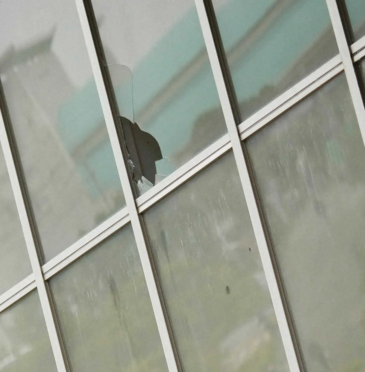 打撃練習中のオスナが室内練習場の窓ガラスを破壊（撮影・沢田　明徳））