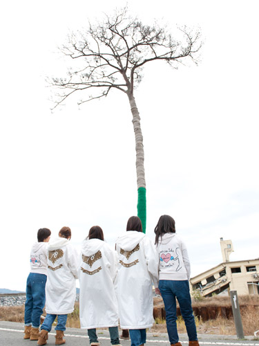 １１年１１月、被災地訪問時に、陸前高田市の「奇跡の一本松」を訪れたＡＫＢ４８メンバー