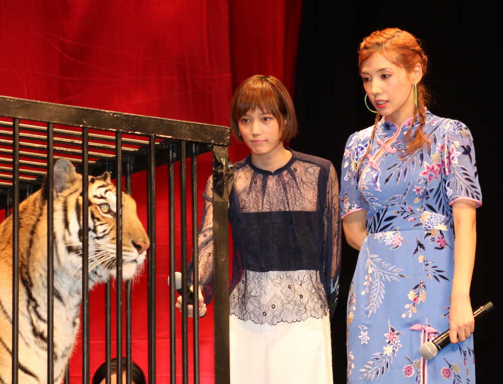 映画「土竜の唄　香港狂騒曲」“美女と野獣”イベントでスペシャルゲストのトラに興味津々の本田翼（左）と仲里依紗