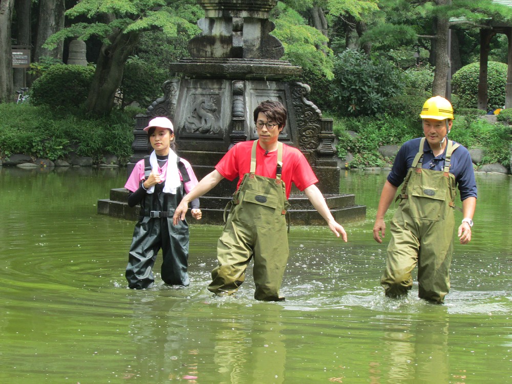 水を抜く前に池の様子を確かめる田村淳（中央）と小島瑠璃子（左）