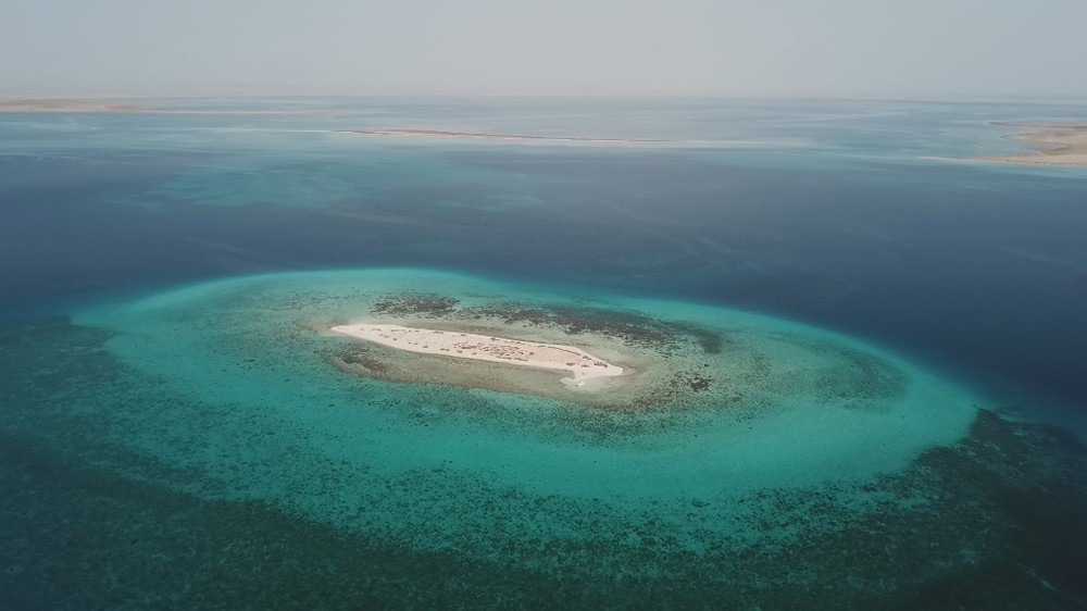 世界初のテレビ撮影となったスーダンのドゥンゴナブ湾
