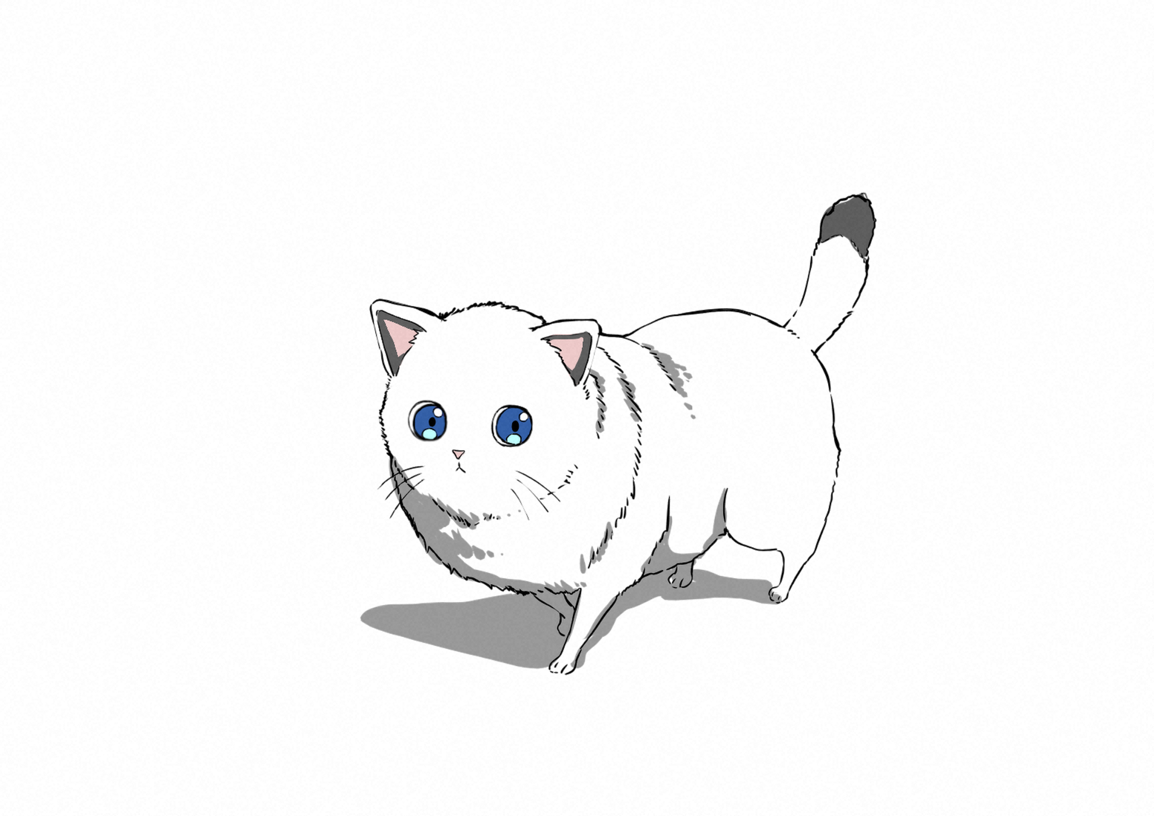 公開された「Nekocha the sleepy cat」のキャラクター「Nekocha」
