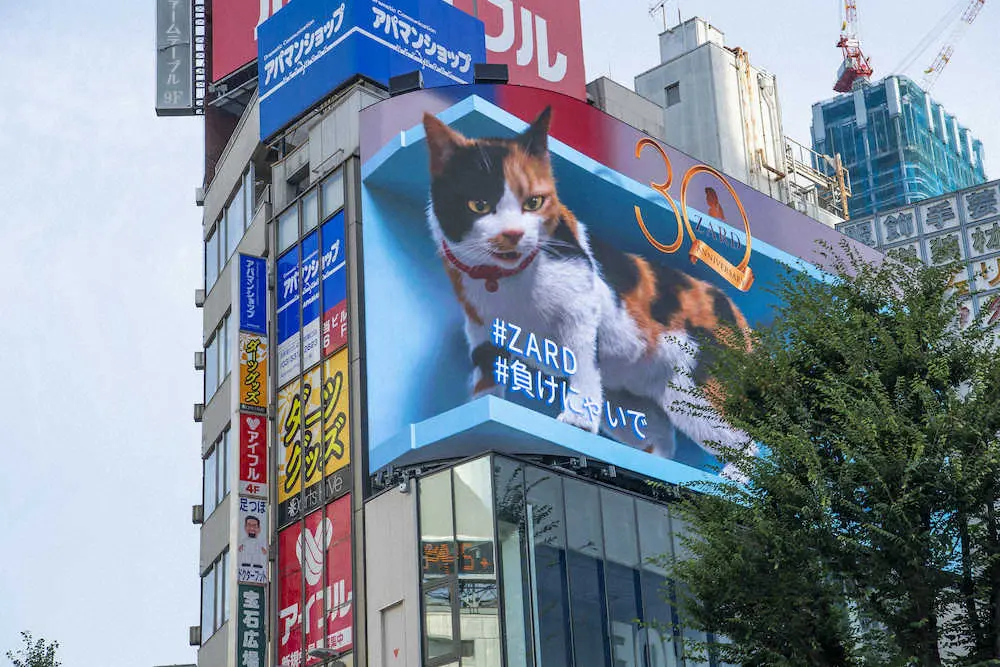 新宿駅前の3D巨大三毛猫とZARD「負けないで」のコラボ