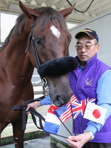 ＜ジャパンＣ＞海外の強豪馬、名騎手たちが集まるジャパンＣで連覇を狙うスクリーンヒーロー