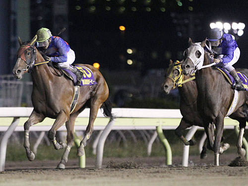 ＜東京ダービー＞クラーベセクレタ（左）はヴェガス（右）に１馬身差をつけ快勝