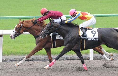 ＜京都３Ｒ＞１番人気に応え新馬戦を快勝したズッカ（左）