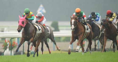 ＜京都５Ｒ＞直線早々と先頭に立ったフレイムコード（左）が、他馬の追撃を抑え快勝
