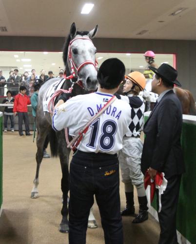 ＜東京５Ｒ＞２着でレースを終えた横浜・三浦大輔投手の所有馬のリーゼントブルース