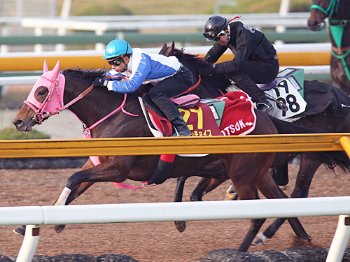 ＜阪神ＪＦ＞ＣＷコースで併せ馬を敢行したファインチョイス（左）