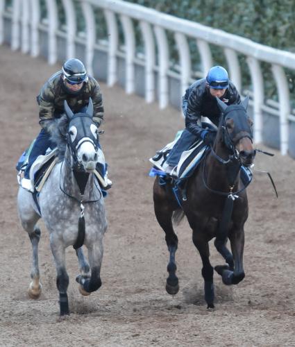 ＜京都牝馬Ｓ＞坂路で僚馬と併せ馬で追い切るアスカトップレディ（右）