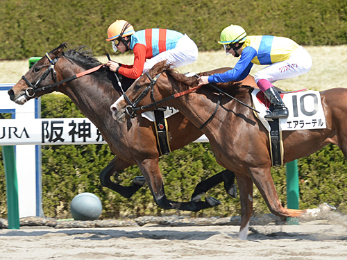 ＜阪神３Ｒ＞兄ミルコ・デムーロと弟クリスチャンの叩き合いは、兄騎乗のタマモデザイア（左）が勝利