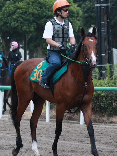 【福島新馬戦】新種牡馬メイショウサムソン産駒の初白星を目指すサムソンズプライド