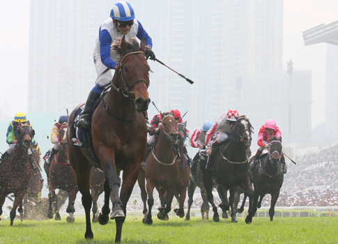 昨年、香港スプリントを連覇したロードカナロアが年度代表馬に選出された