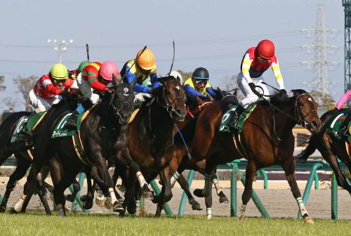 中日新聞杯は直線の叩き合いを制したバルジュー騎乗のマーティンボロ（手前）が重賞初制覇