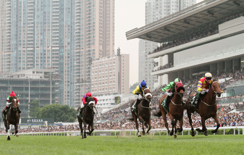 香港Ｇ１・ＱＥ２世Ｃで４着だったエピファネイア（左端）