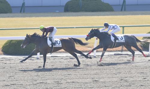 京都４Ｒ新馬戦で２馬身差で勝利した小牧騎手騎乗のヒーローメーカー（左）