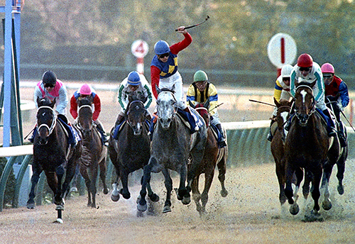 ９０年の有馬記念で、メジロライアンの追走を振り切り優勝する武豊騎乗のオグリキャップ（中央）