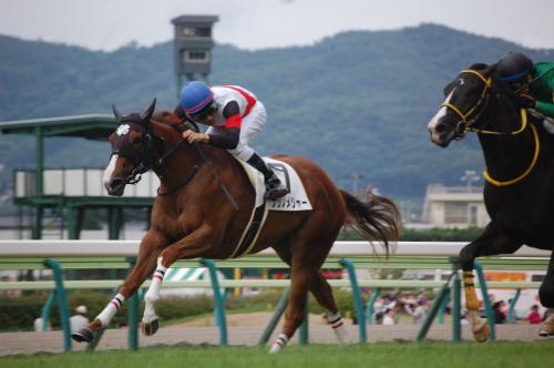 福島競馬６Ｒ新馬戦を快勝したナリノメジャー（左）