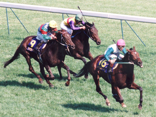 ９７年のオークスを制したメジロドーベル（右）はＧ１・５勝の名牝