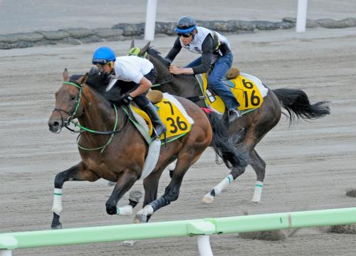 函館ダートコースでゴージャスガール（右）と併せて追い切ったジェベルムーサと岩田康誠騎手