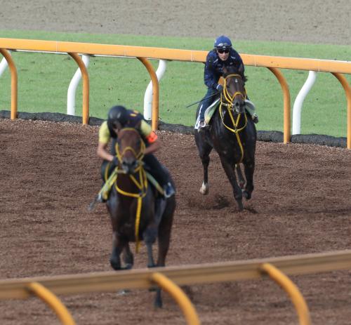 ＜京都大賞典＞Ｍ・デムーロ騎手を背にエジステンツァ（左）を追うサウンズオブアース
