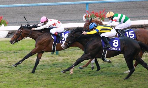 ＜京都競馬１１ＲマイルＣＳ＞ゴール前競り合うミッキーアイル（左）とイスラボニータ