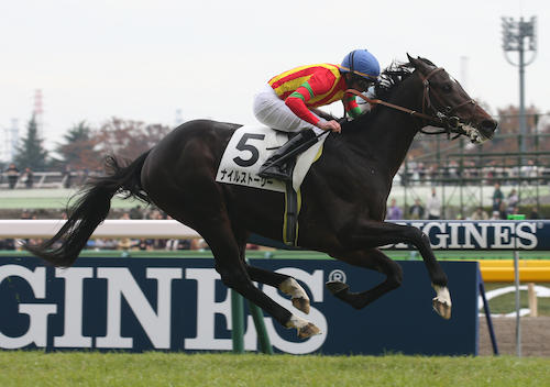 東京４Ｒ新馬戦、レースを制したナイルストーリー