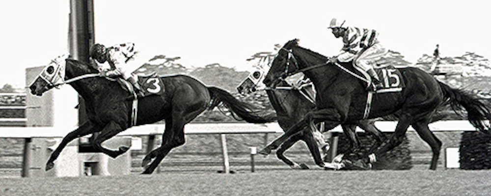 １９７８年の有馬記念のゴールシーン（１５番がインターグロリア）