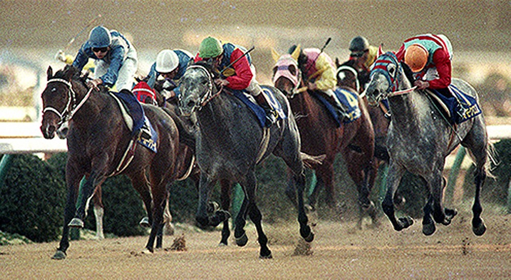 ８８年有馬記念、大外から追いこむタマモクロス（右端）を抑えたオグリキャップ（左から３頭目）