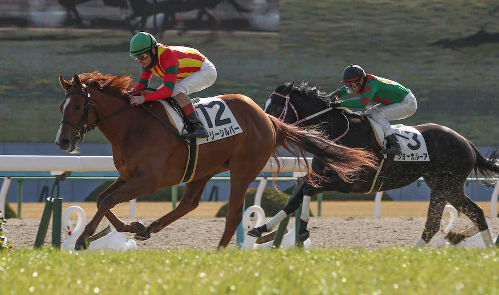 ＜京都６Ｒ・新馬戦＞Ｃ・ルメール騎手を背にジョーカルーアをかわすチリーシルバー（左）