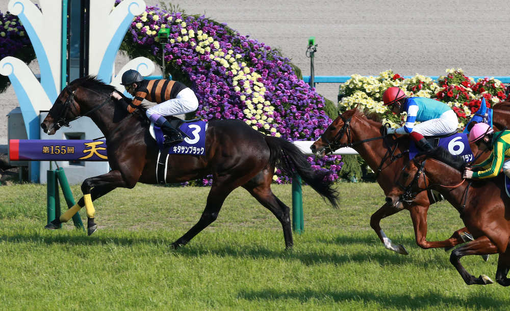 ＜京都競馬　１１Ｒ天皇賞・春＞２着のシュヴァルグランに１馬身以上の差をつけ圧勝したキタサンブラック