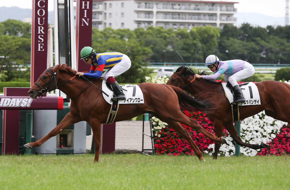 阪神５Ｒ新馬戦で福永騎手を背にナムラバンザイを差して勝ったアイアンクロー（左）
