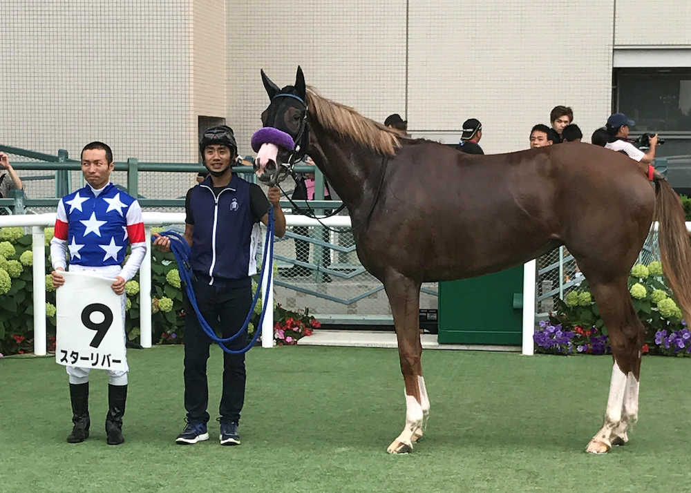 福島５Ｒ新馬戦を勝ったスターリバー