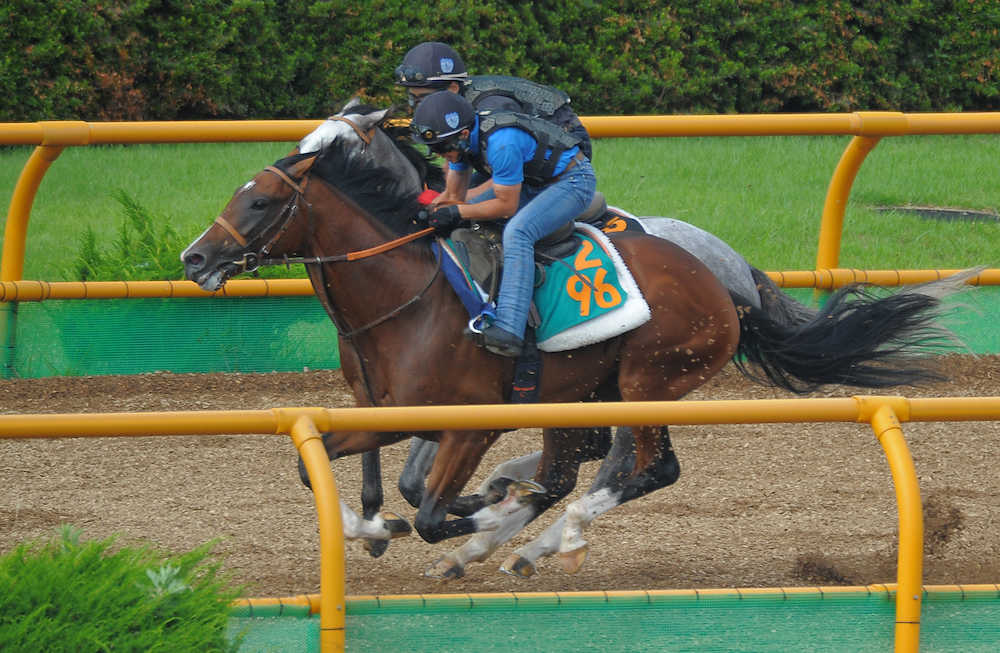 果たして“伝説の新馬戦”となるか――２０日札幌でデビュー予定のルーカス（手前）